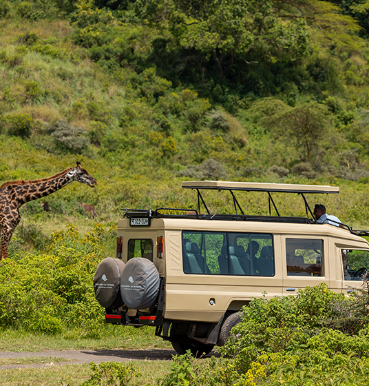 More Than a Safari - Tanzanian Experience