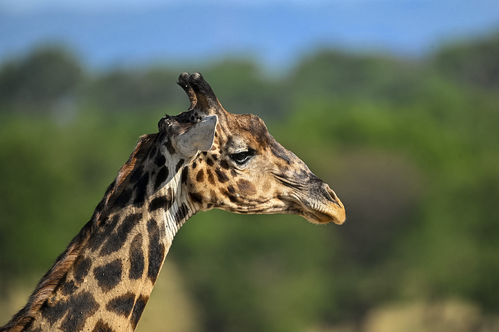 Arusha-National-Park-Page-Banner