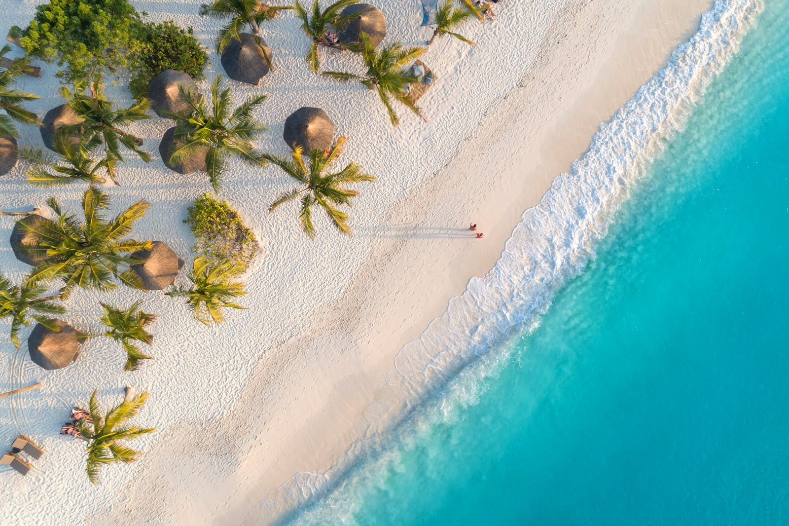 From-The-Bush-to-Beach-Page-Banner