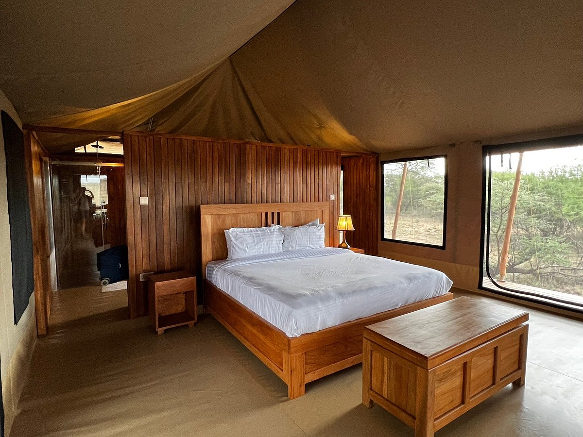 Great-Migration-Mara-River-Crossing-Into-Wild-Camp