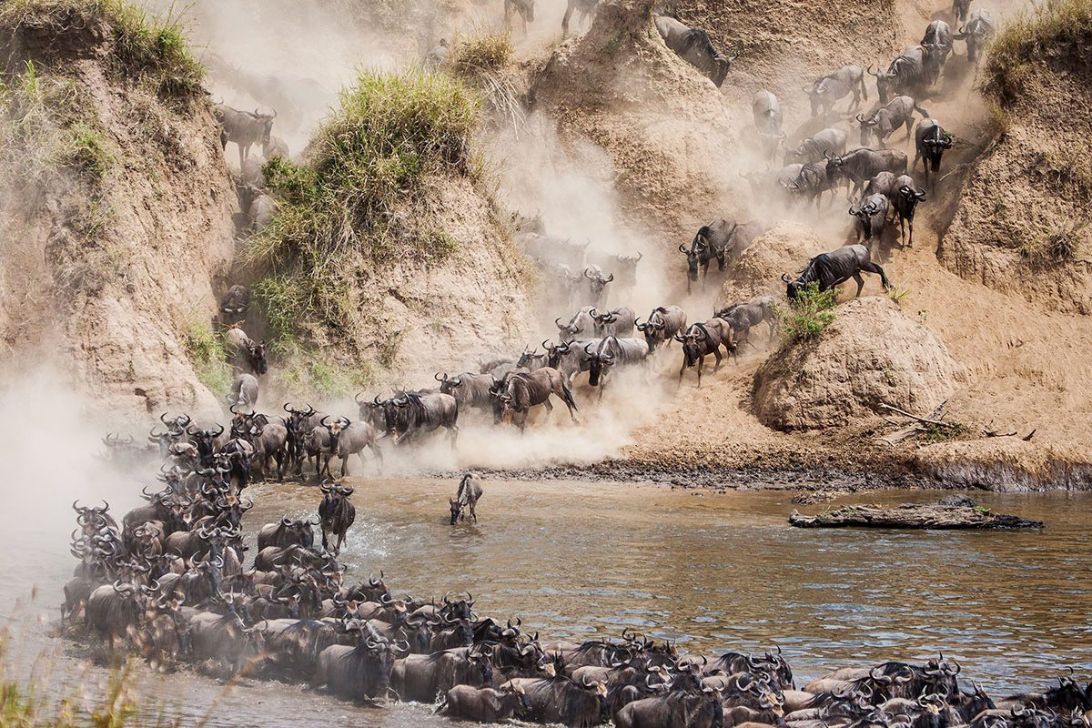 Great-Migration-Mara-River-Crossing-Page-Banner