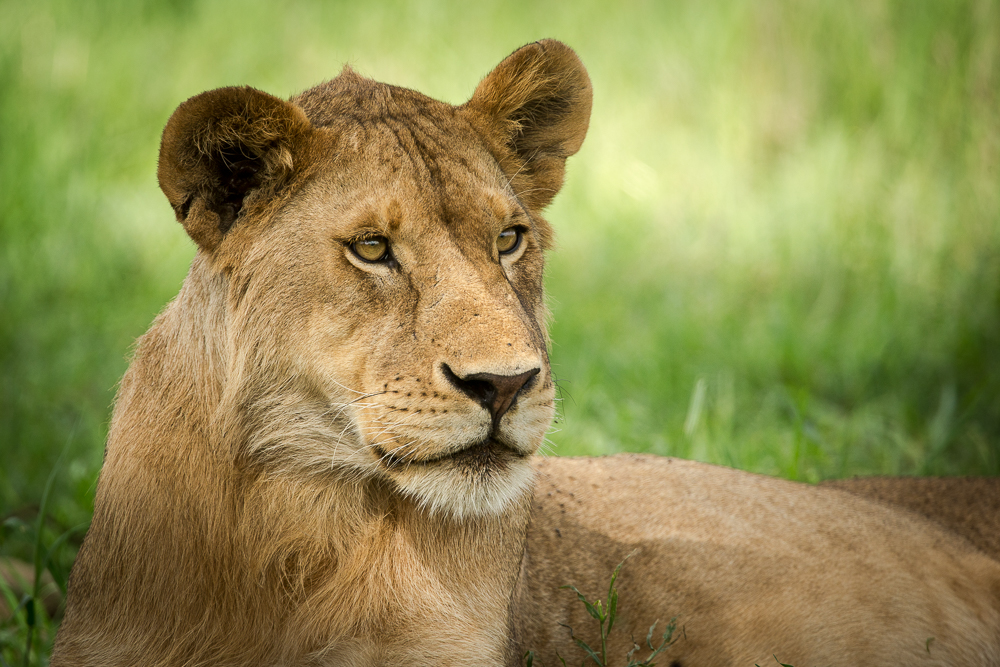 Tanzania-Photo-Safari-Day-12