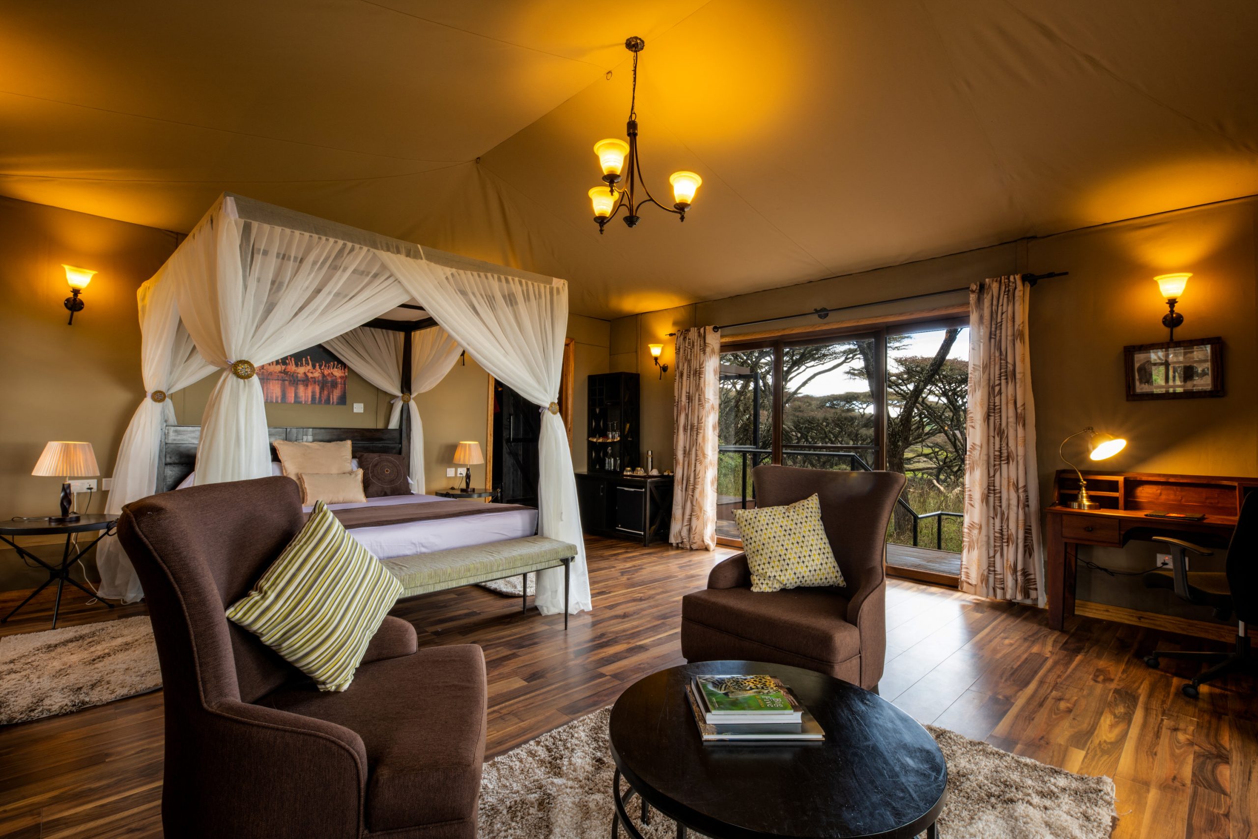 Tanzania-Photo-Safari-Ngorongoro-Lions-Paw