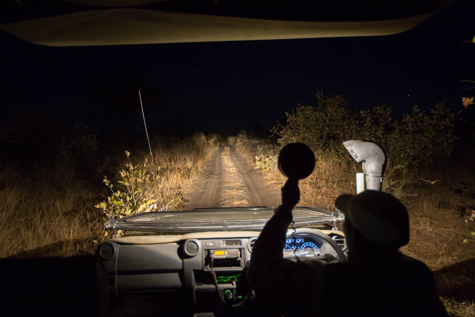 Night-game-drives