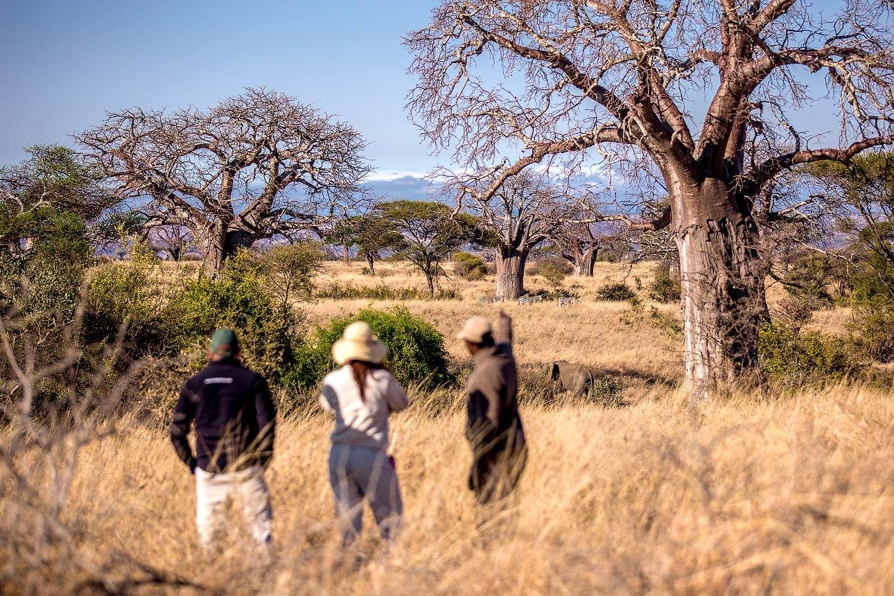 walking safari